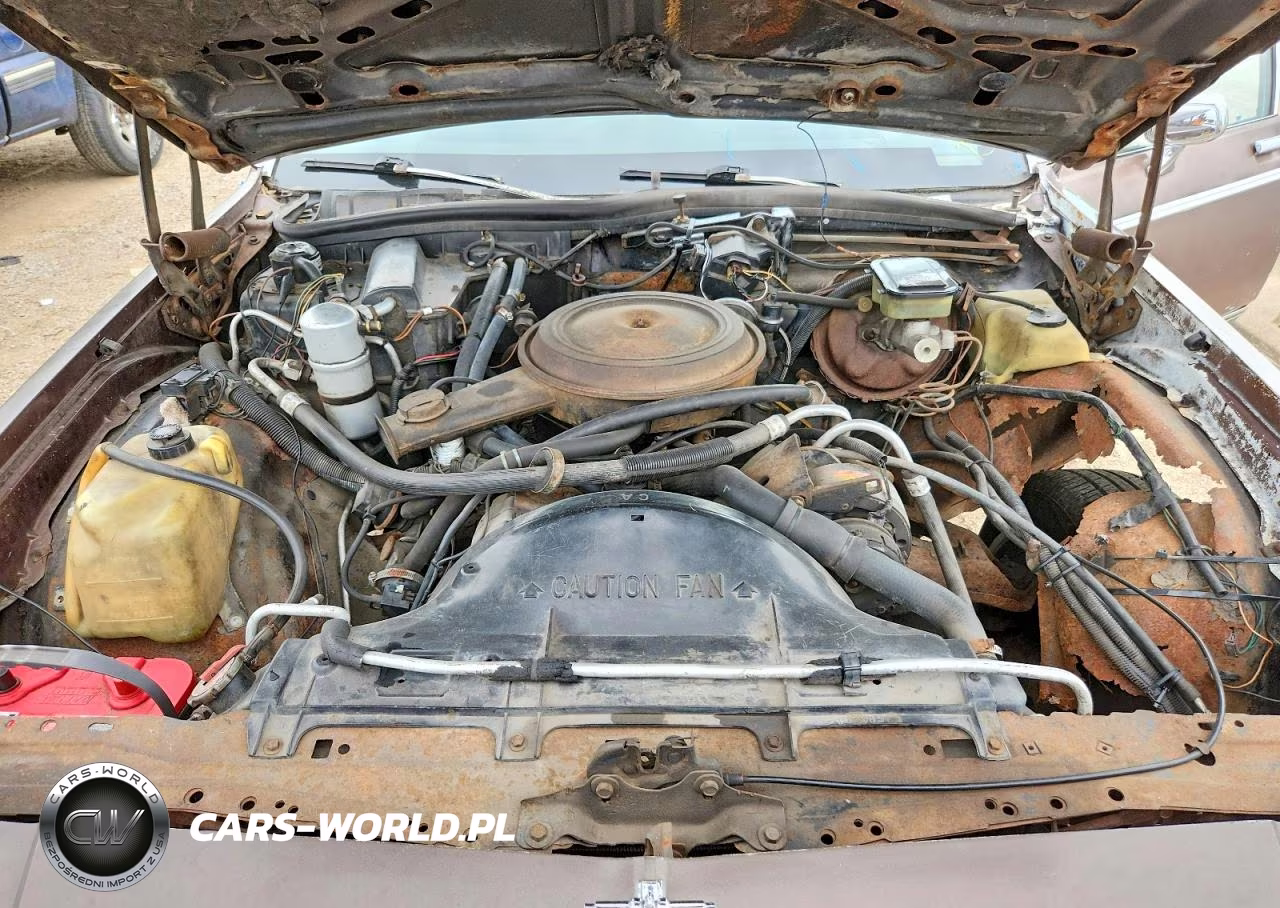 1983 Chevrolet Caprice Classic VIN:2G1AN35H5D1166085 - 11