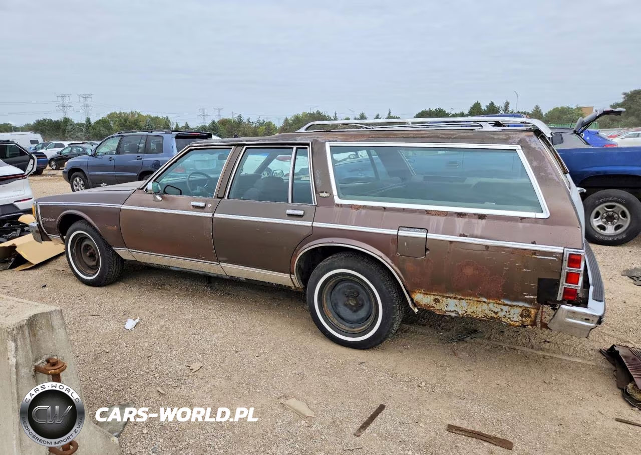 1983 Chevrolet Caprice Classic VIN:2G1AN35H5D1166085 - 2