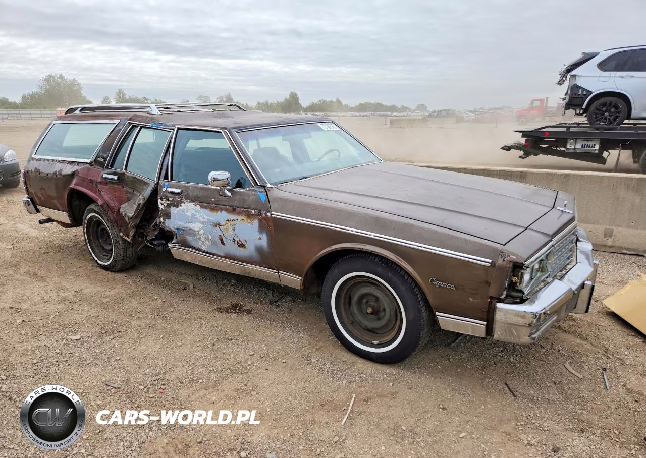 1983 Chevrolet Caprice Classic VIN:2G1AN35H5D1166085 - 4