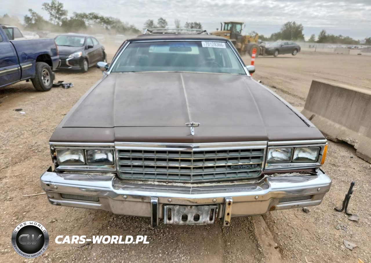 1983 Chevrolet Caprice Classic VIN:2G1AN35H5D1166085 - 5
