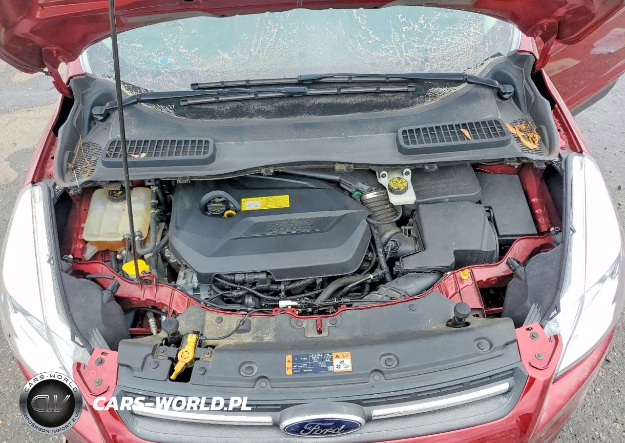 2014 Ford Escape Se VIN:1FMCU0GX8EUB92820 - 11