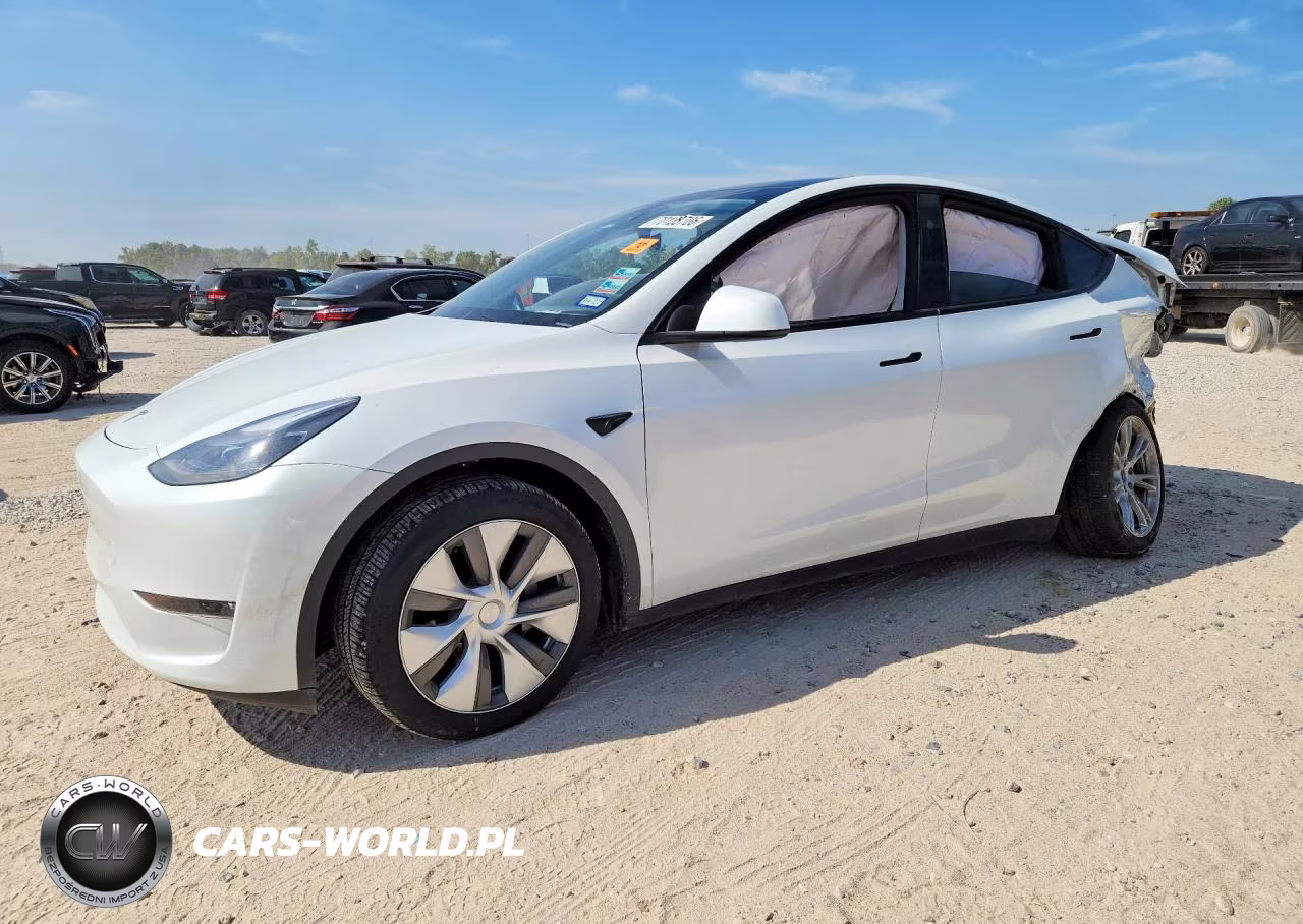 2024 Tesla Model Y VIN:7SAYGDEE9RA269767 - 1