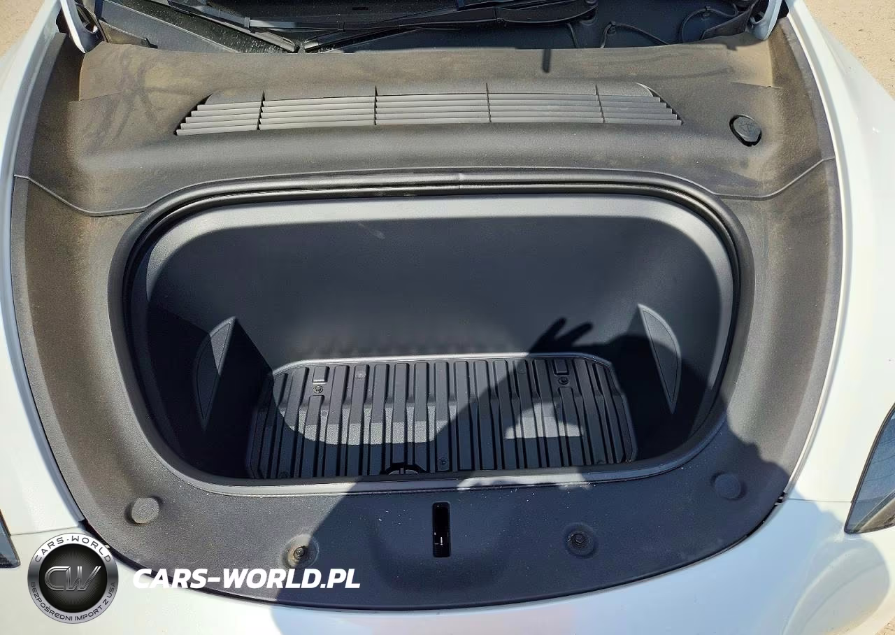 2024 Tesla Model Y VIN:7SAYGDEE9RA269767 - 12