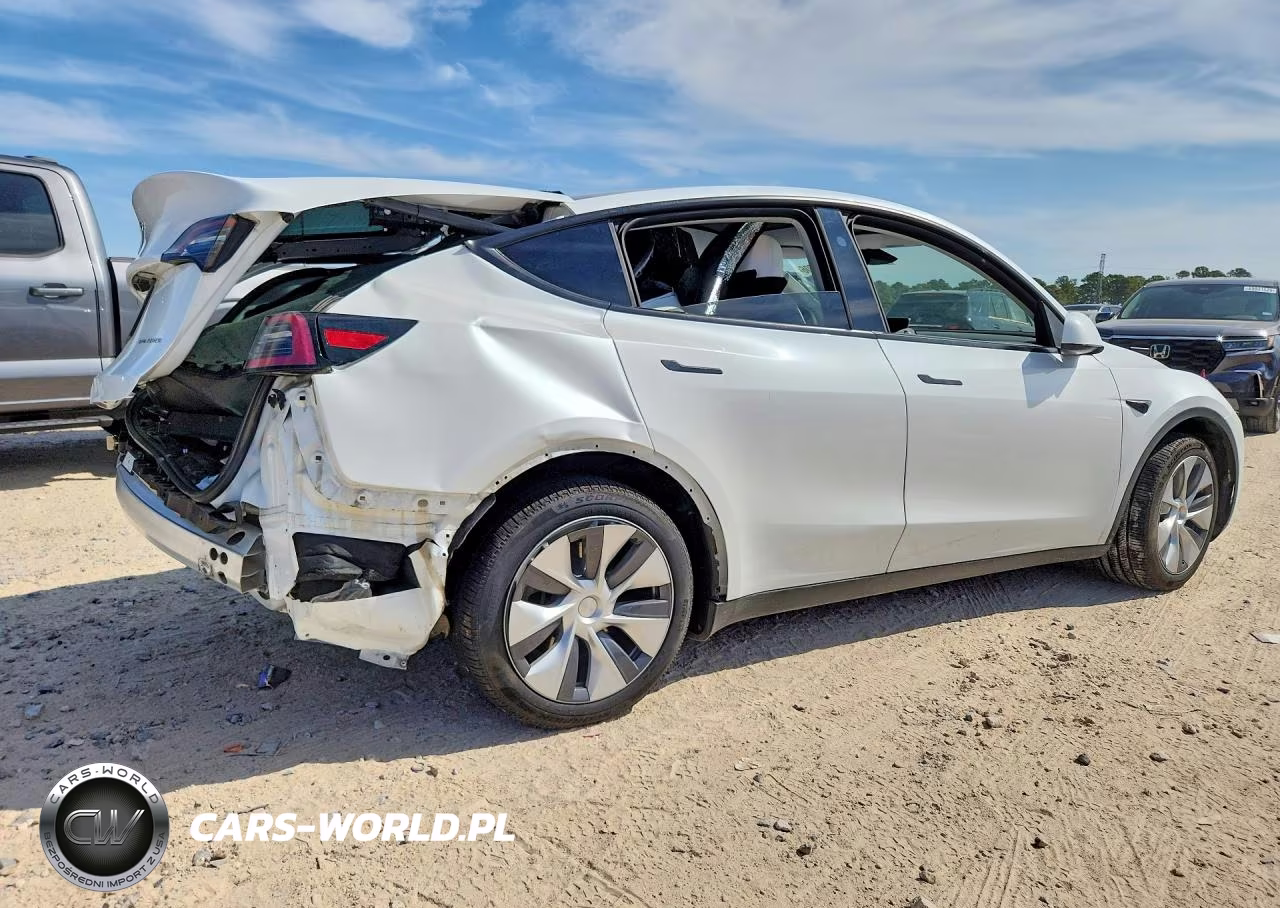 2024 Tesla Model Y VIN:7SAYGDEE9RA269767 - 3