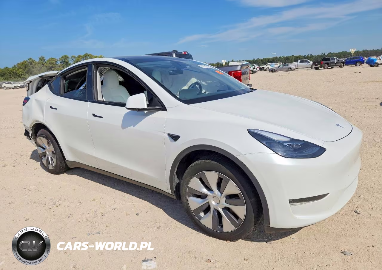 2024 Tesla Model Y VIN:7SAYGDEE9RA269767 - 4
