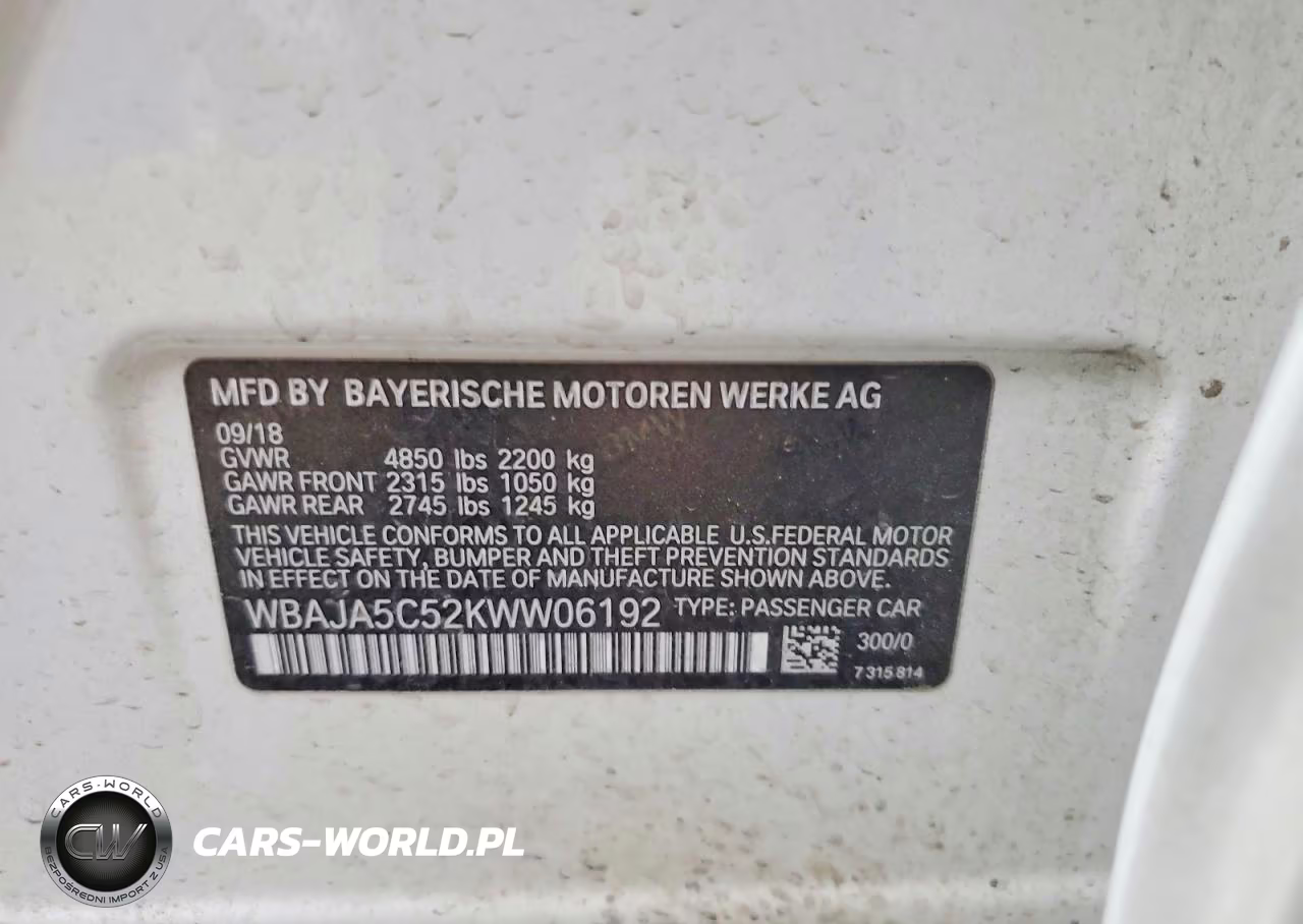 2019 BMW 530 I VIN:WBAJA5C52KWW06192 - 12