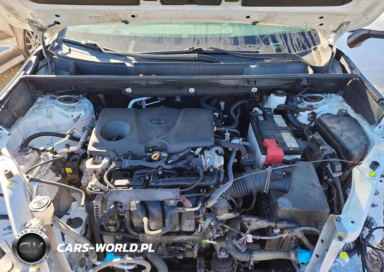 2023 Toyota Rav4 Xle VIN:2T3P1RFV0PC363117 - 12