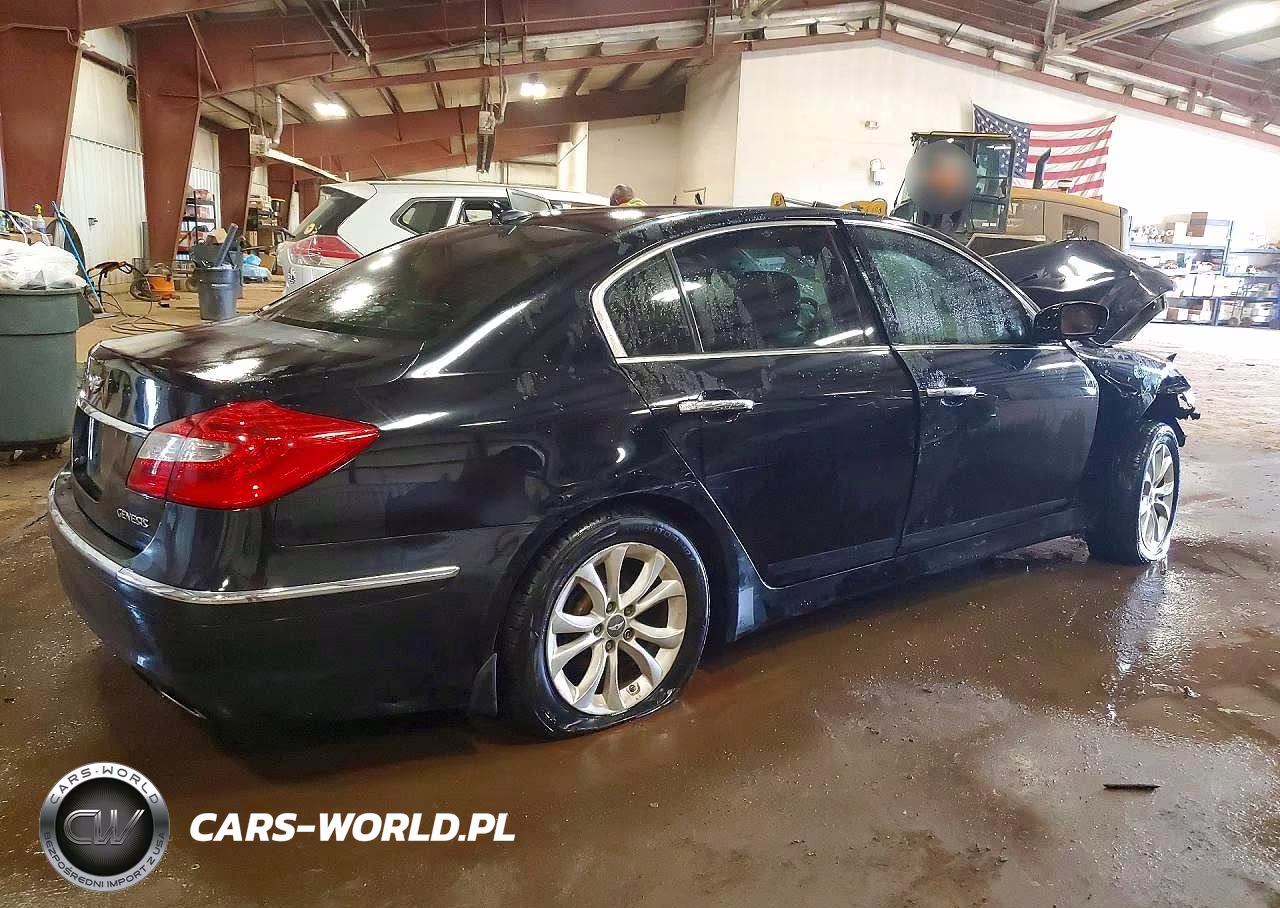 2012 Hyundai Genesis 3.8L VIN:KMHGC4DD0CU196315 - 3