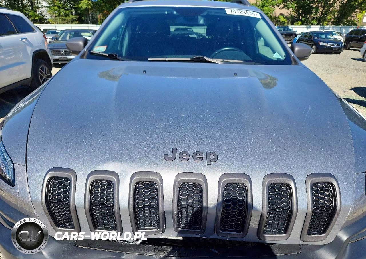 2018 Jeep Cherokee Trailhawk VIN:1C4PJMBB4JD567341 - 12