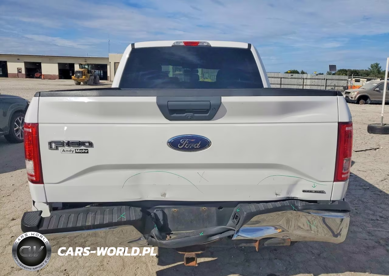 2016 Ford F150 Supercrew VIN:1FTEW1EF6GFA00602 - 6