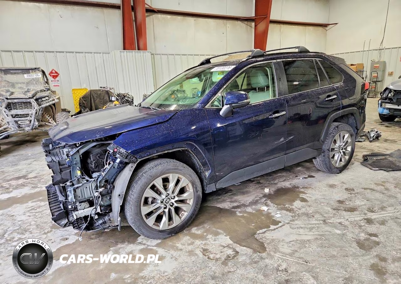 2019 Toyota Rav4 Limited VIN:JTMN1RFV3KD523745 - 1