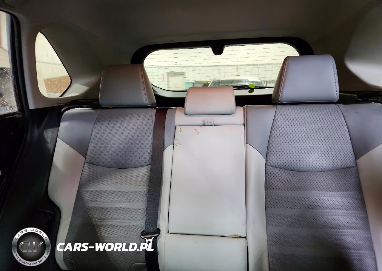 2019 Toyota Rav4 Limited VIN:JTMN1RFV3KD523745 - 10