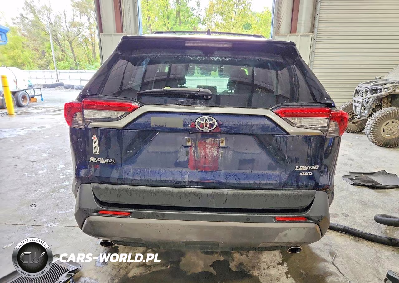 2019 Toyota Rav4 Limited VIN:JTMN1RFV3KD523745 - 6