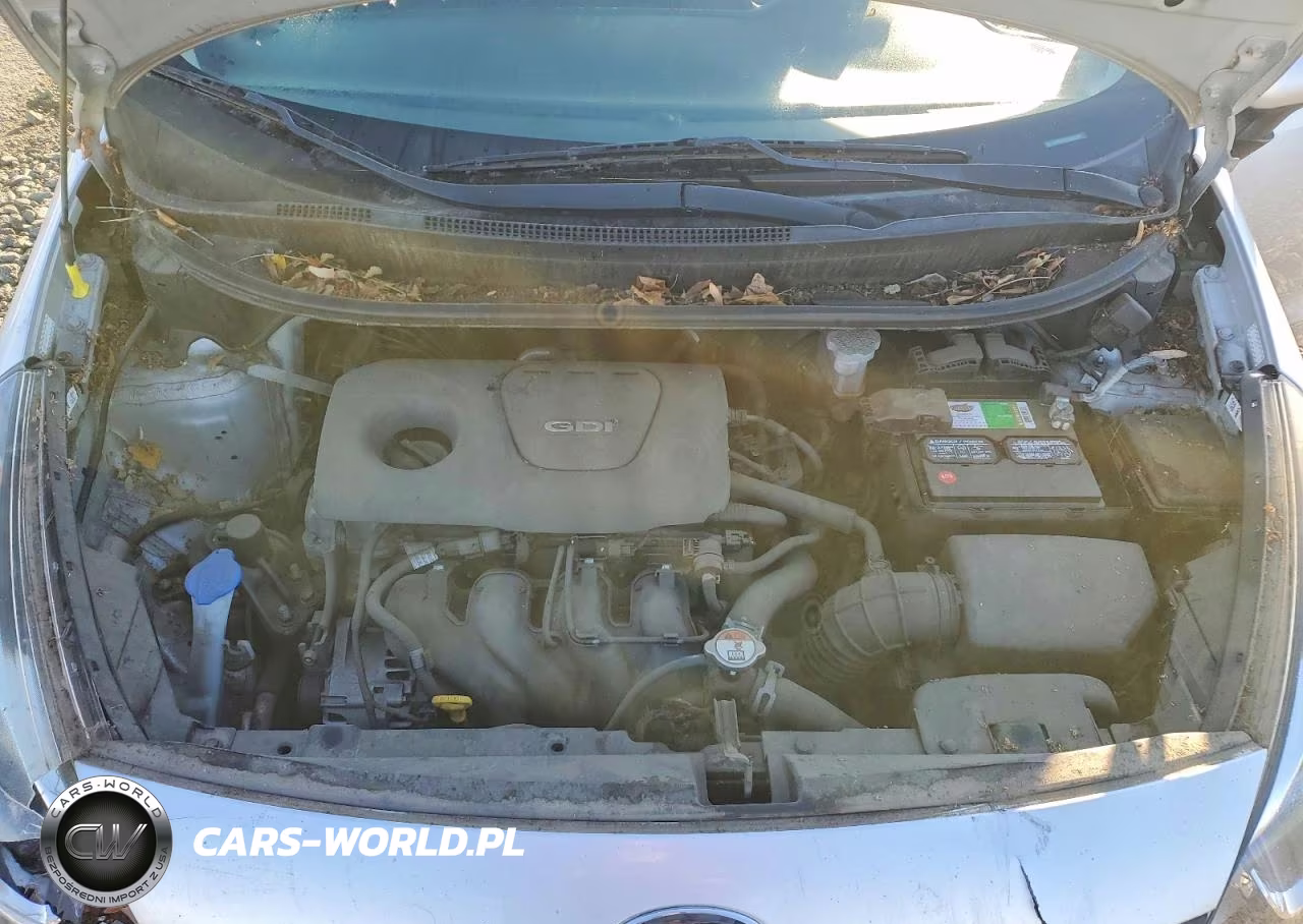 2016 Kia Rio Lx VIN:KNADM4A33G6611537 - 11