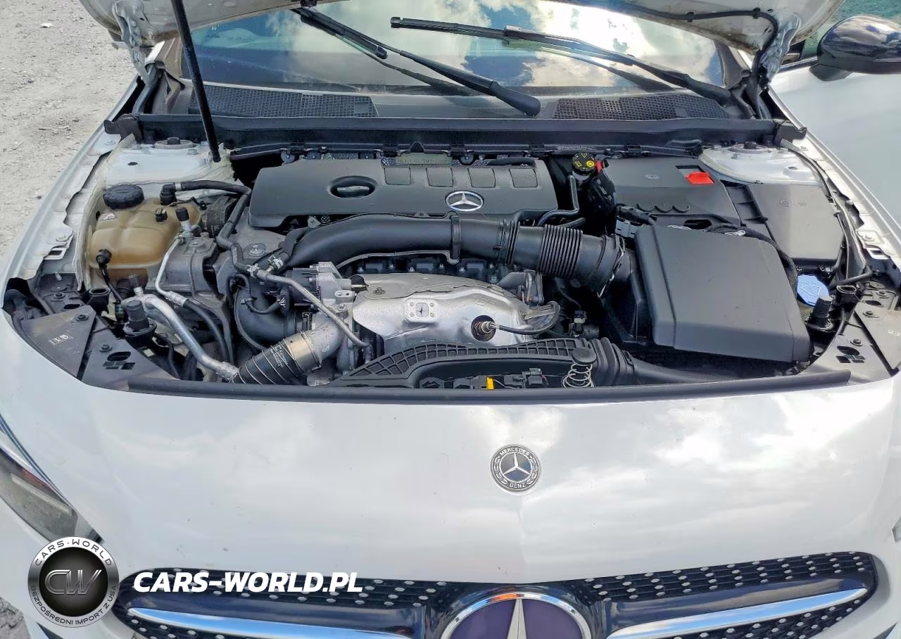 2019 Mercedes-Benz A 220 VIN:WDD3G4EB2KW024588 - 11