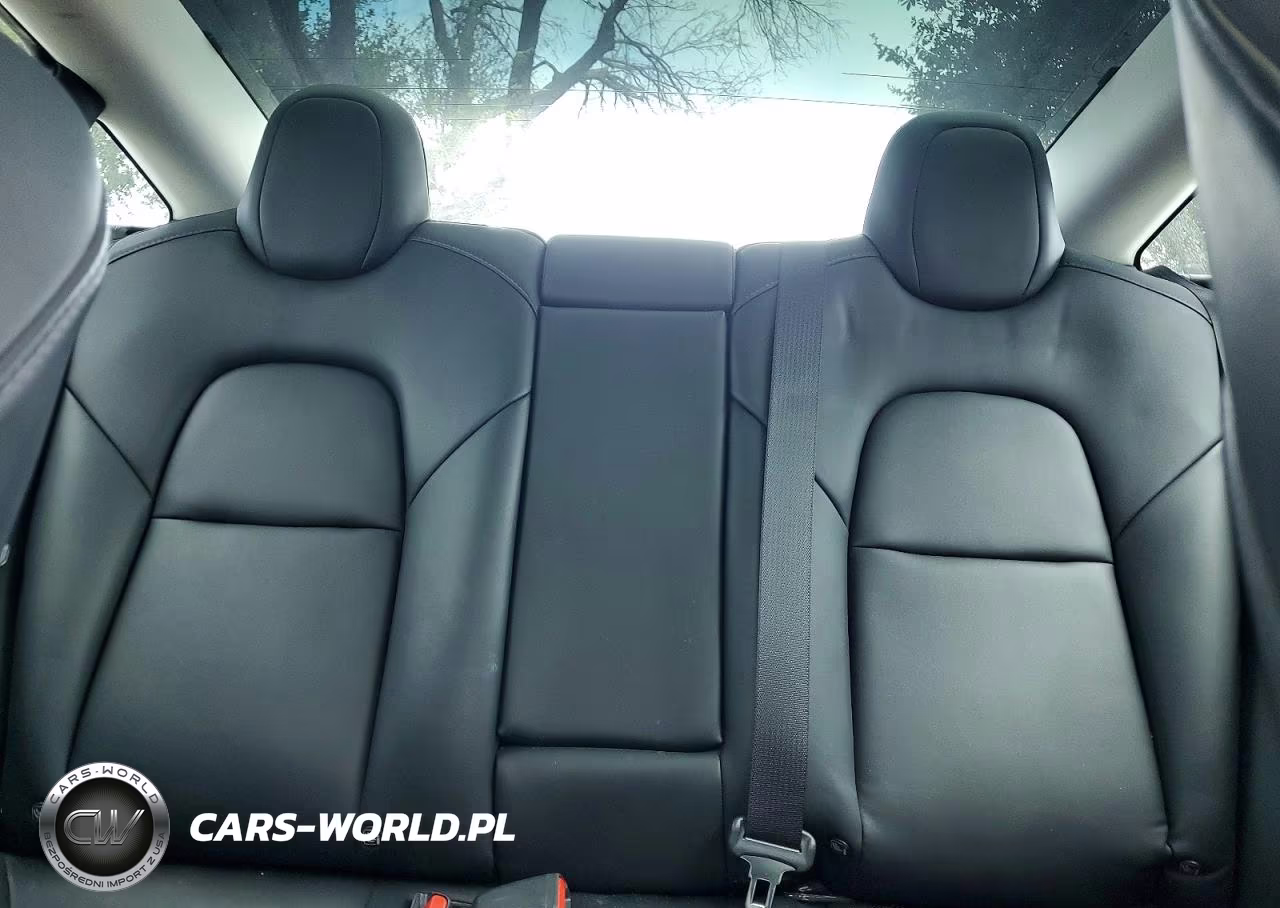 2020 Tesla Model 3 VIN:5YJ3E1EA8LF660914 - 10