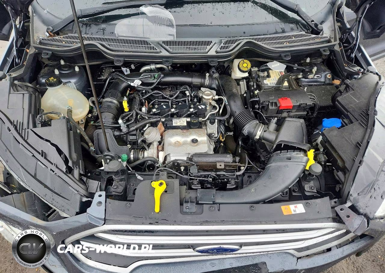 2021 Ford Ecosport Se VIN:MAJ3S2GE5MC446448 - 12