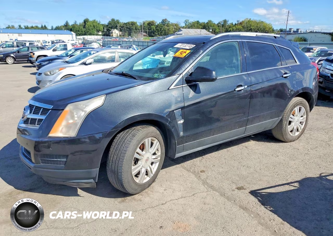 2011 Cadillac Srx Luxury Collection VIN:3GYFNDEY5BS624030 - 1