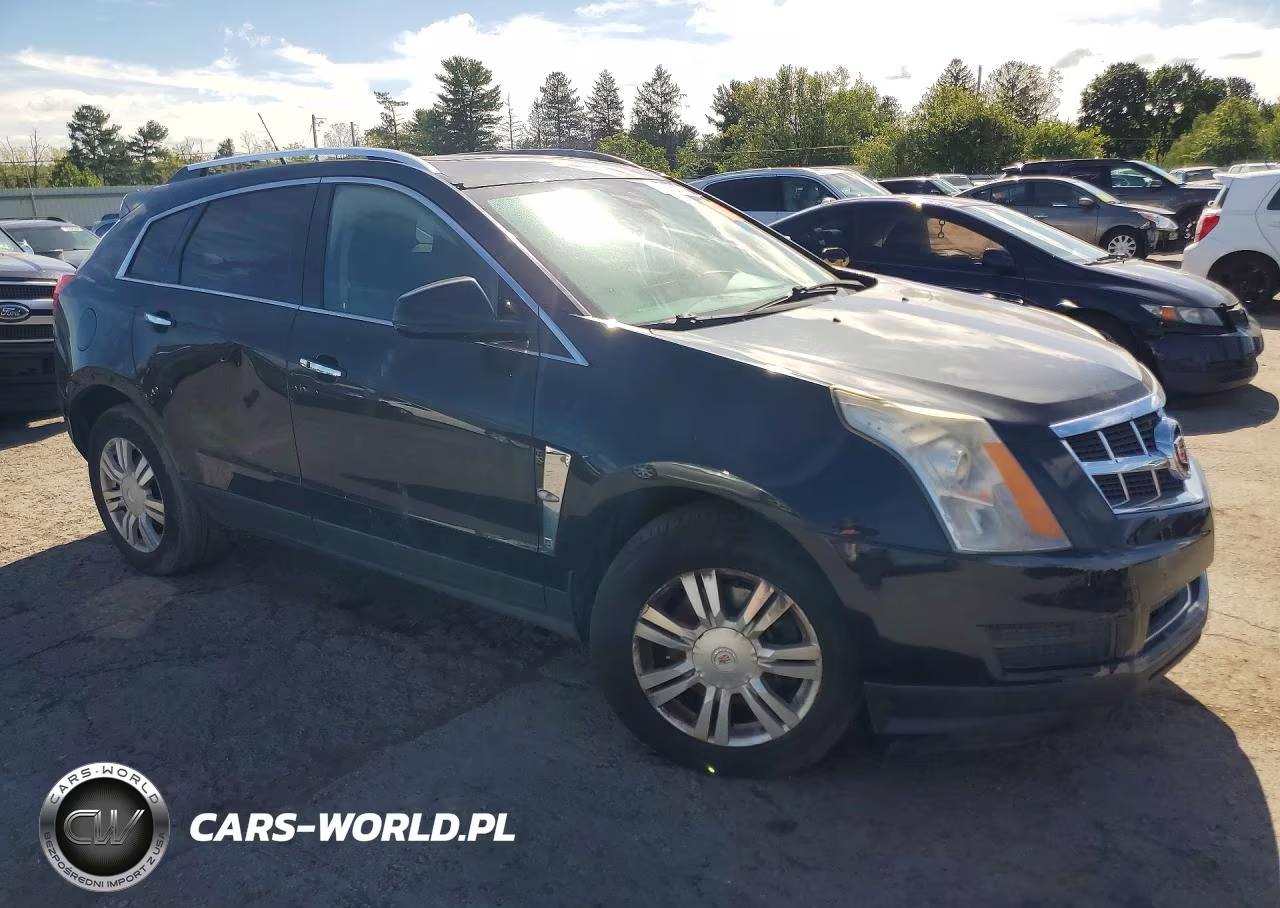 2011 Cadillac Srx Luxury Collection VIN:3GYFNDEY5BS624030 - 4