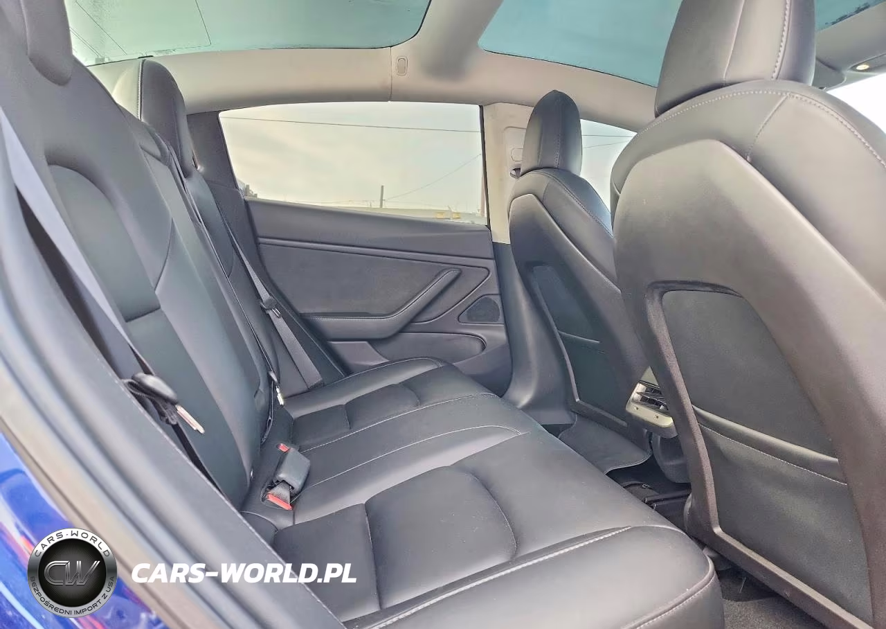 2019 Tesla Model 3 VIN:5YJ3E1EA6KF299360 - 10