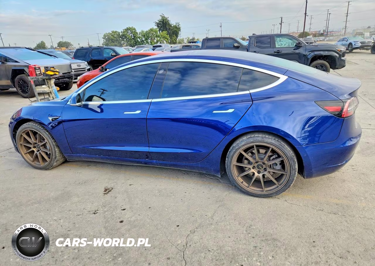 2019 Tesla Model 3 VIN:5YJ3E1EA6KF299360 - 2