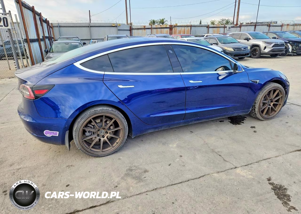 2019 Tesla Model 3 VIN:5YJ3E1EA6KF299360 - 3