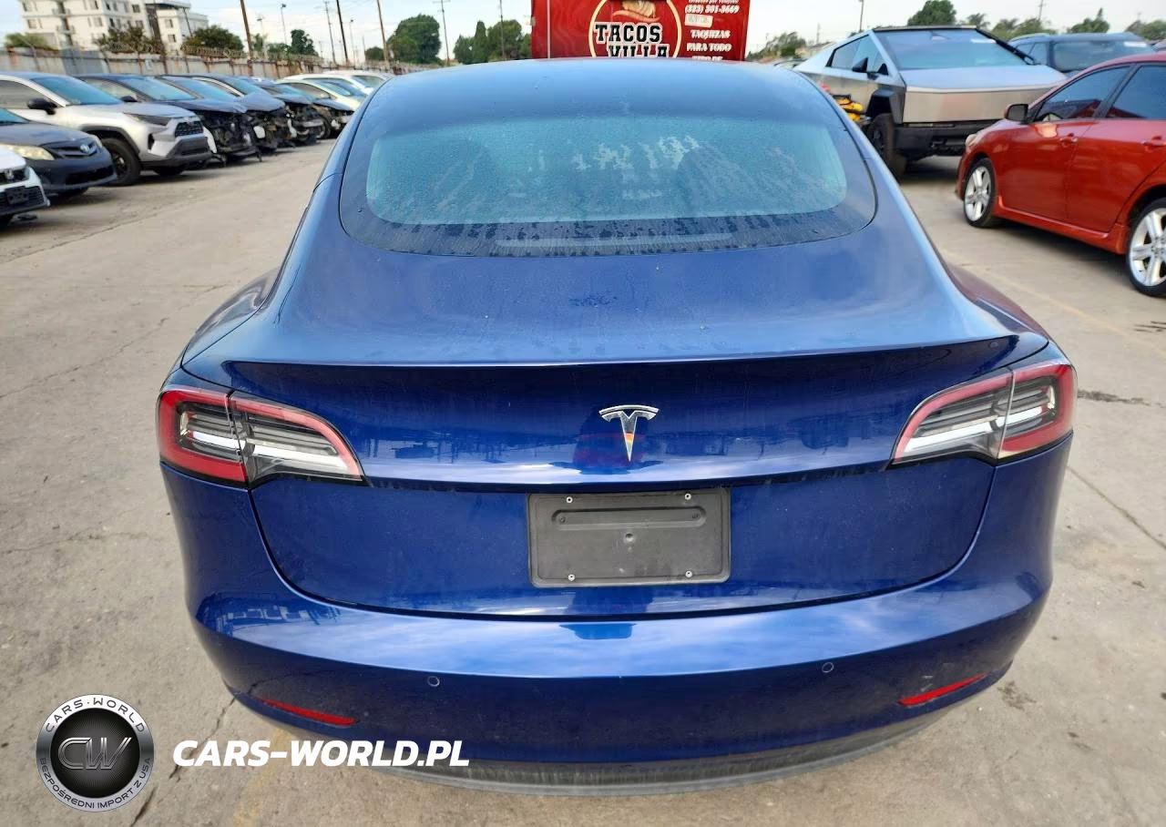 2019 Tesla Model 3 VIN:5YJ3E1EA6KF299360 - 6