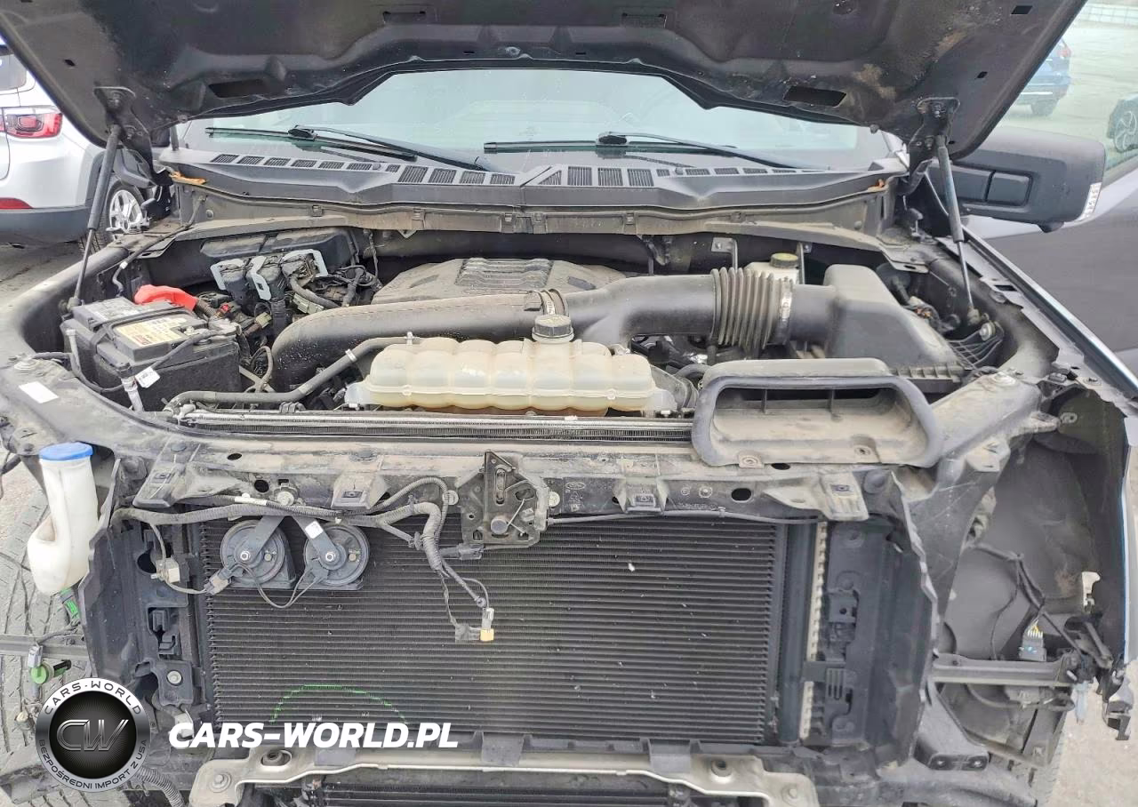 2021 Ford F150 Supercrew VIN:1FTFW1E88MFC18798 - 11