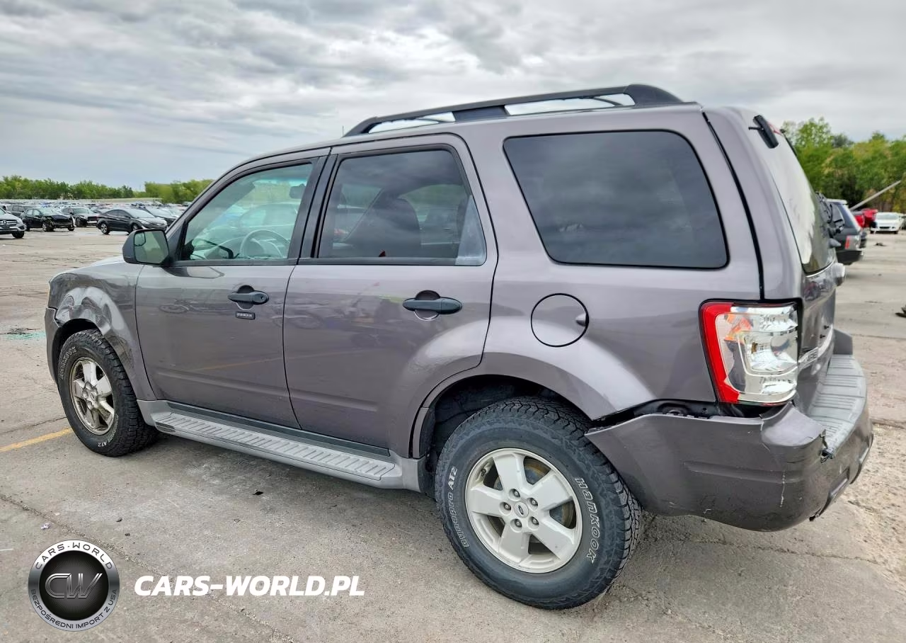 2011 Ford Escape Xlt VIN:1FMCU0DG1BKC42243 - 2