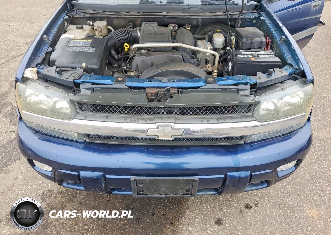 2004 Chevrolet Trailblazer Ls VIN:1GNDT13S242425300 - 11