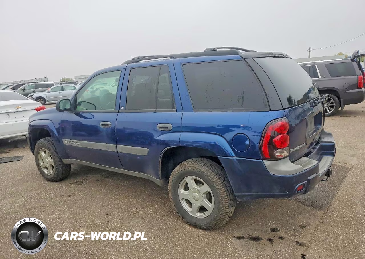 2004 Chevrolet Trailblazer Ls VIN:1GNDT13S242425300 - 2
