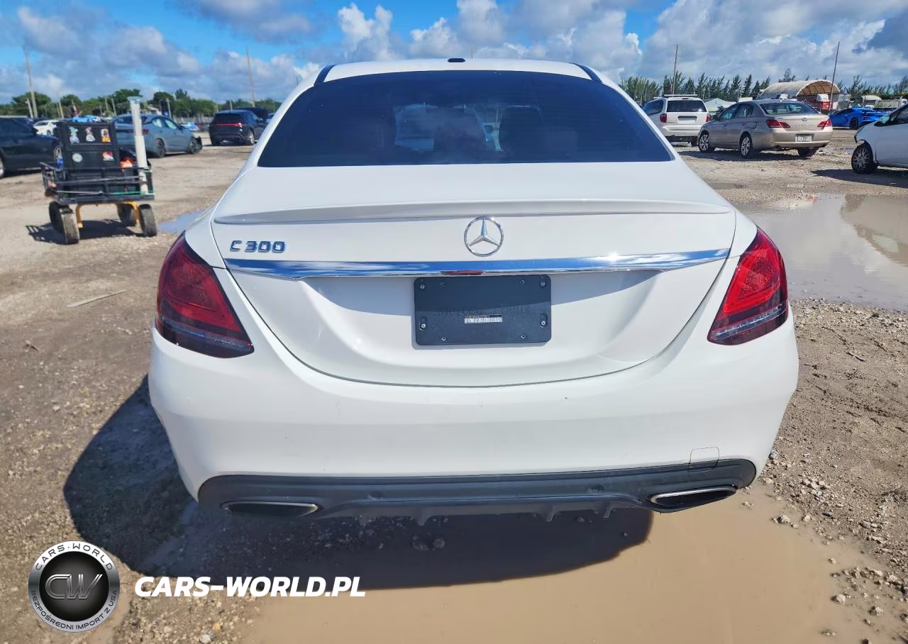 2019 Mercedes-Benz C 300 VIN:55SWF8DB3KU295875 - 6