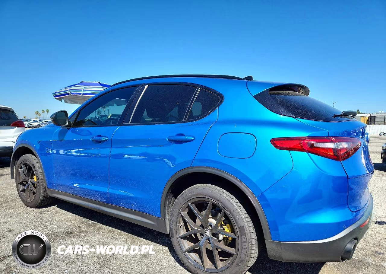 2020 Alfa Romeo Stelvio VIN:ZASPAJAN3L7C88353 - 2