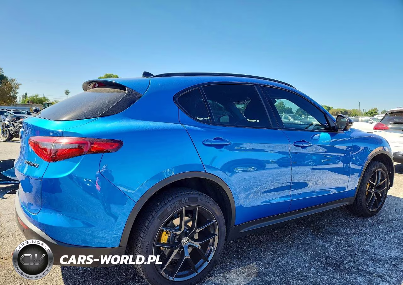 2020 Alfa Romeo Stelvio VIN:ZASPAJAN3L7C88353 - 3