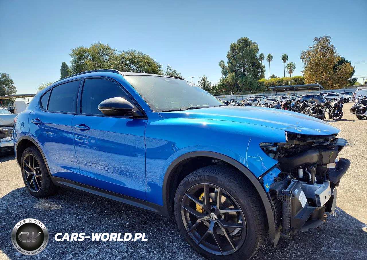 2020 Alfa Romeo Stelvio VIN:ZASPAJAN3L7C88353 - 4