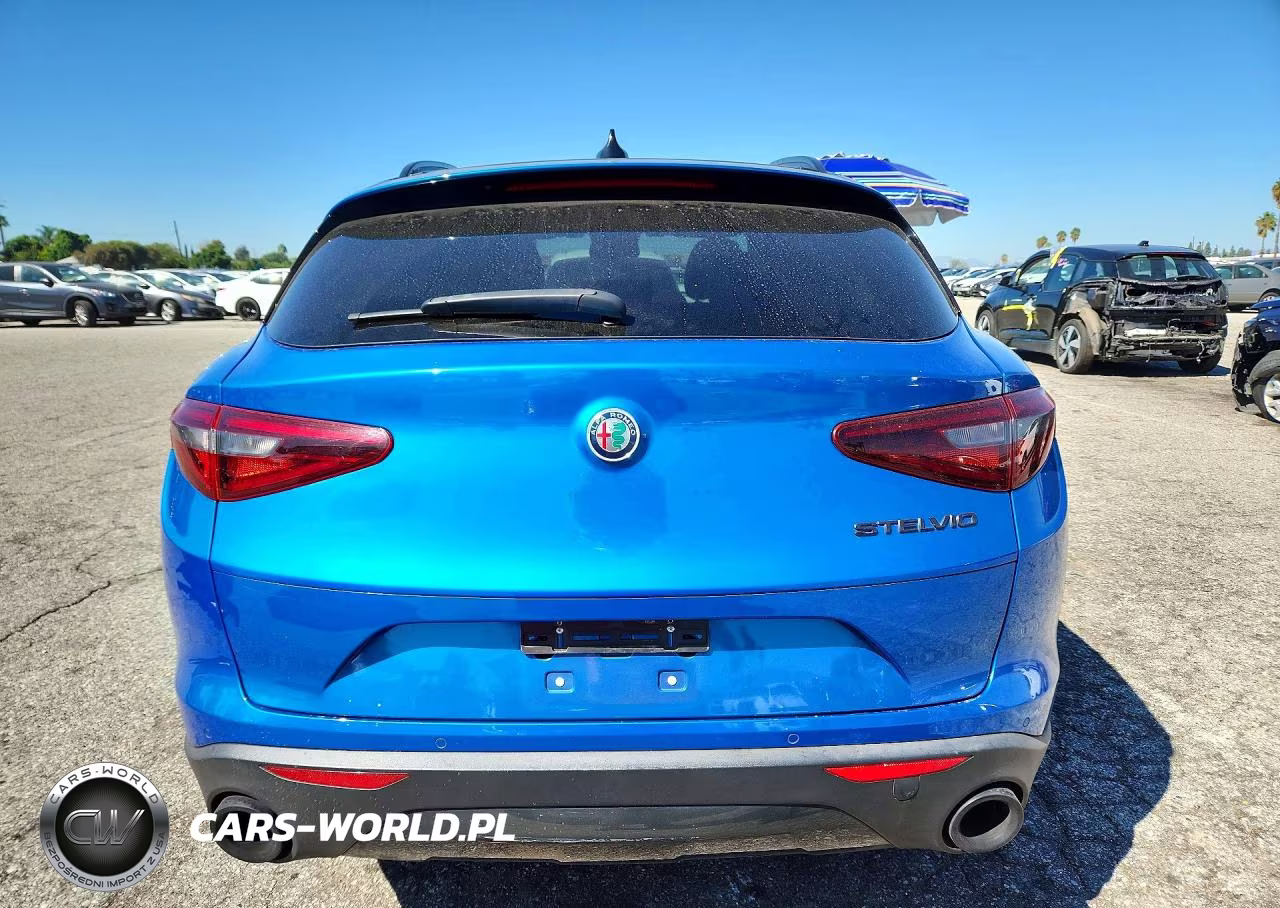 2020 Alfa Romeo Stelvio VIN:ZASPAJAN3L7C88353 - 6
