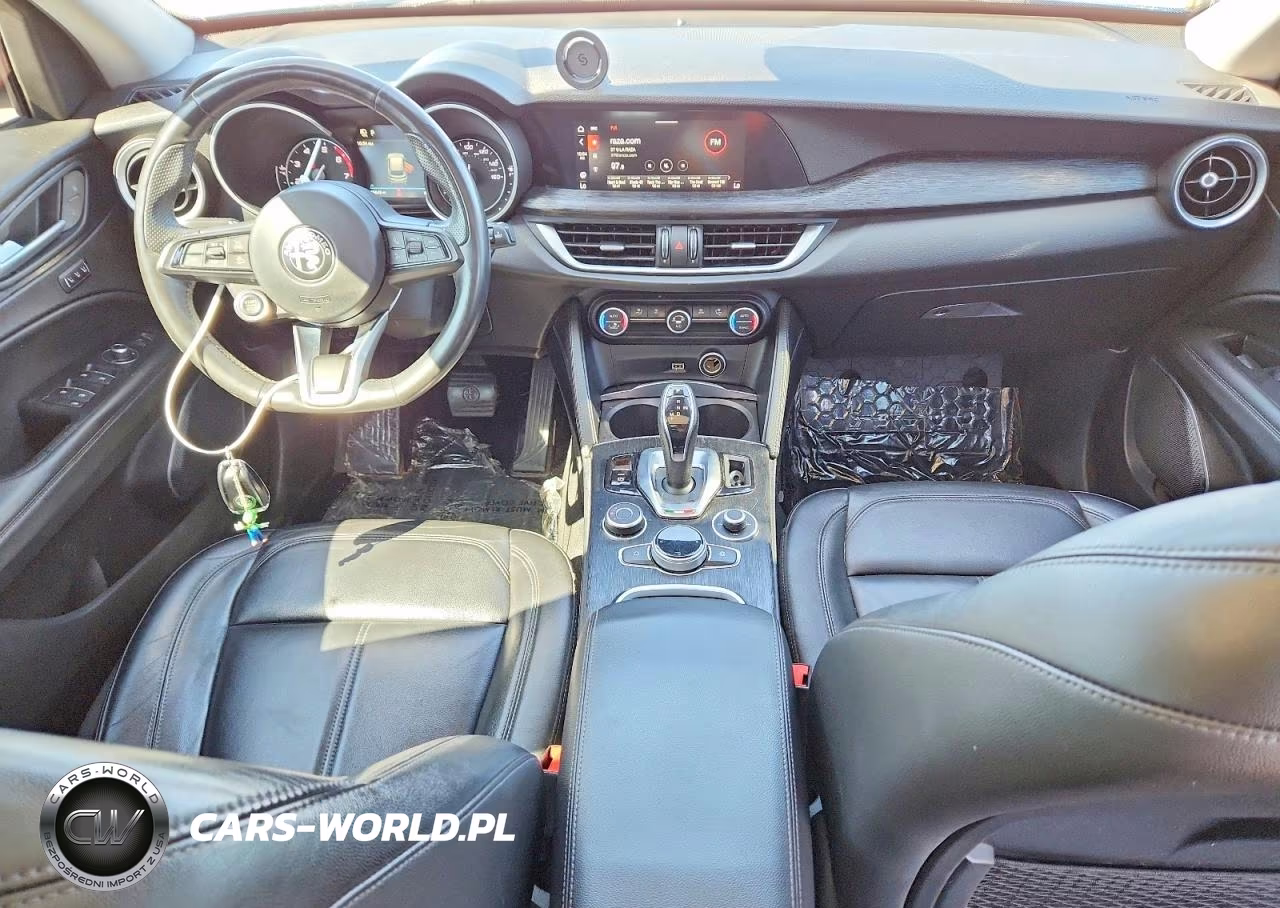 2020 Alfa Romeo Stelvio VIN:ZASPAJAN3L7C88353 - 8