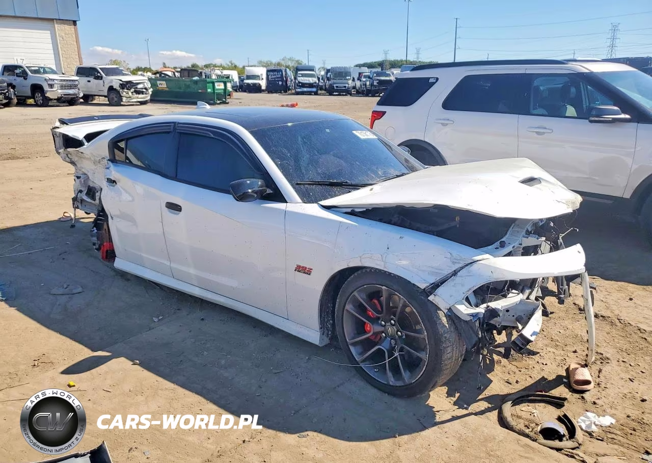 DODGE CHARGER SC VIN:2C3CDXGJ9LH231959 - 4