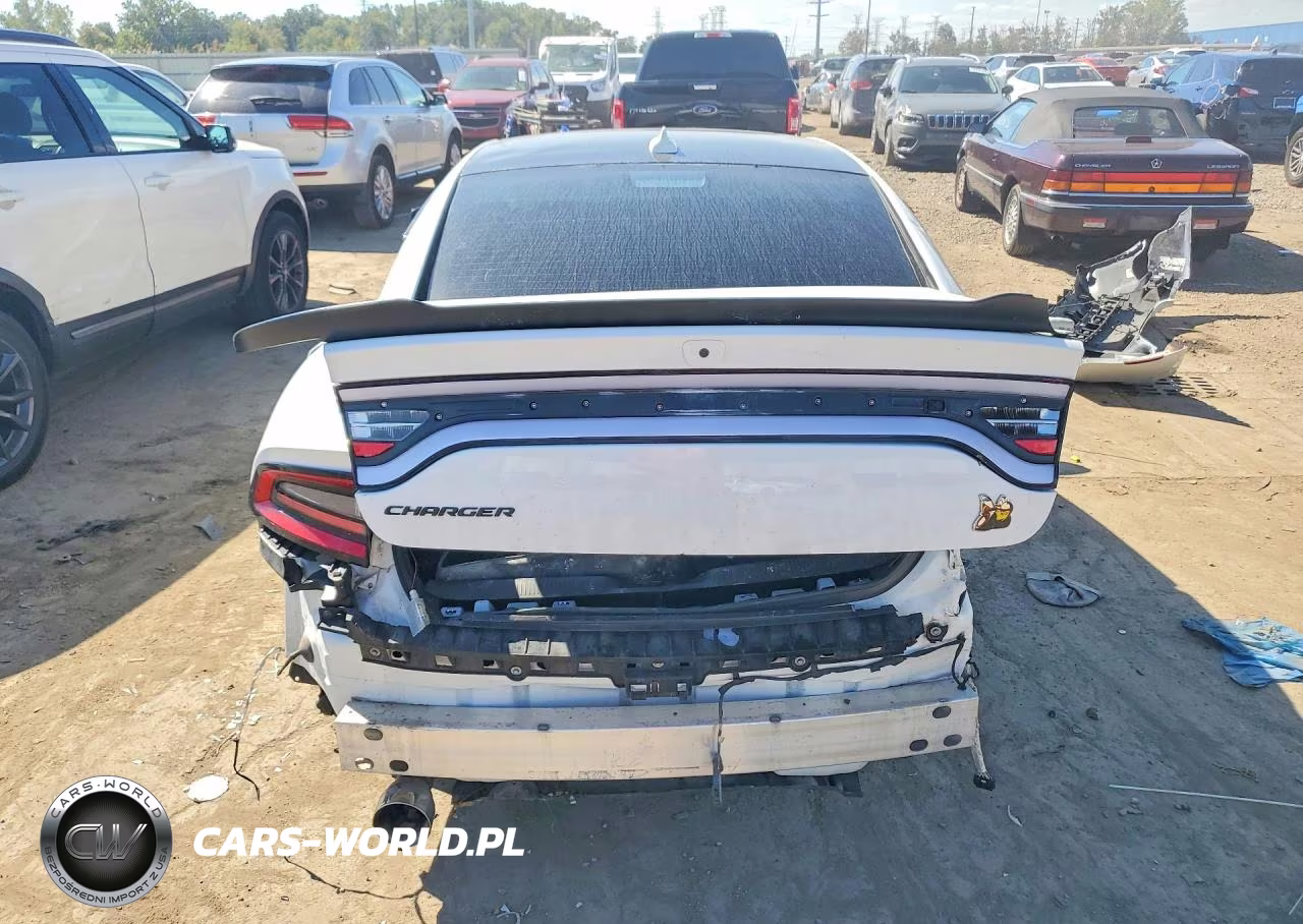 DODGE CHARGER SC VIN:2C3CDXGJ9LH231959 - 6
