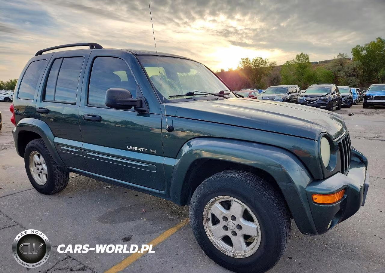 2002 Jeep Liberty Limited VIN:1J8GL58K32W352748 - 4