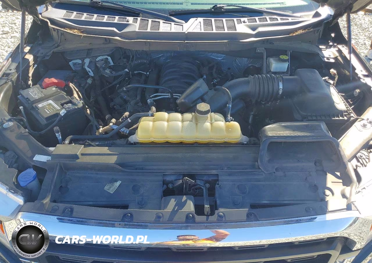 2021 Ford F150 Supercrew VIN:1FTFW1E51MKE48115 - 11