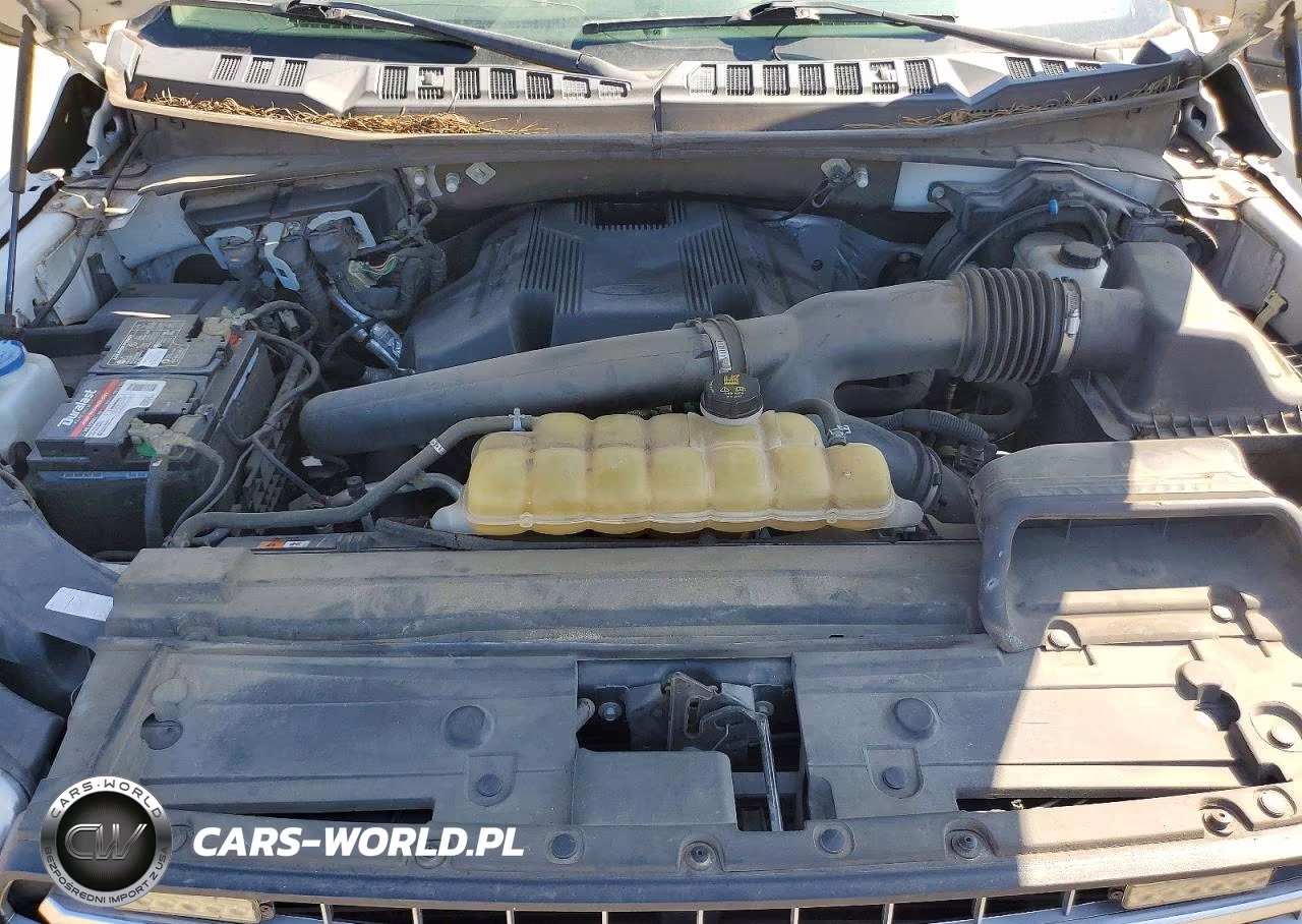 2020 Ford F150 Supercrew VIN:1FTEW1E45LKD83805 - 11