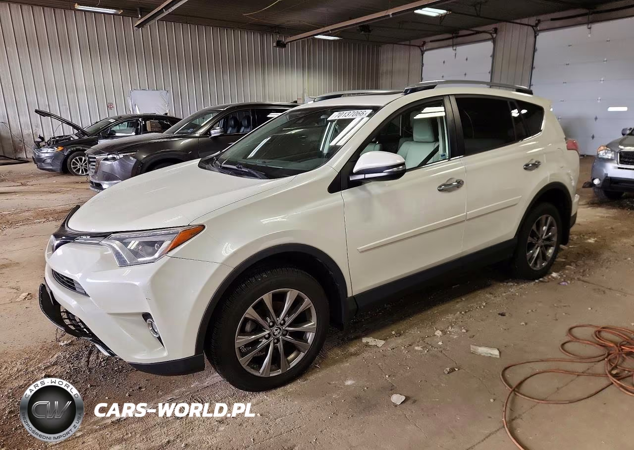 2018 Toyota Rav4 Limited VIN:JTMDFREV1JJ734831 - 1