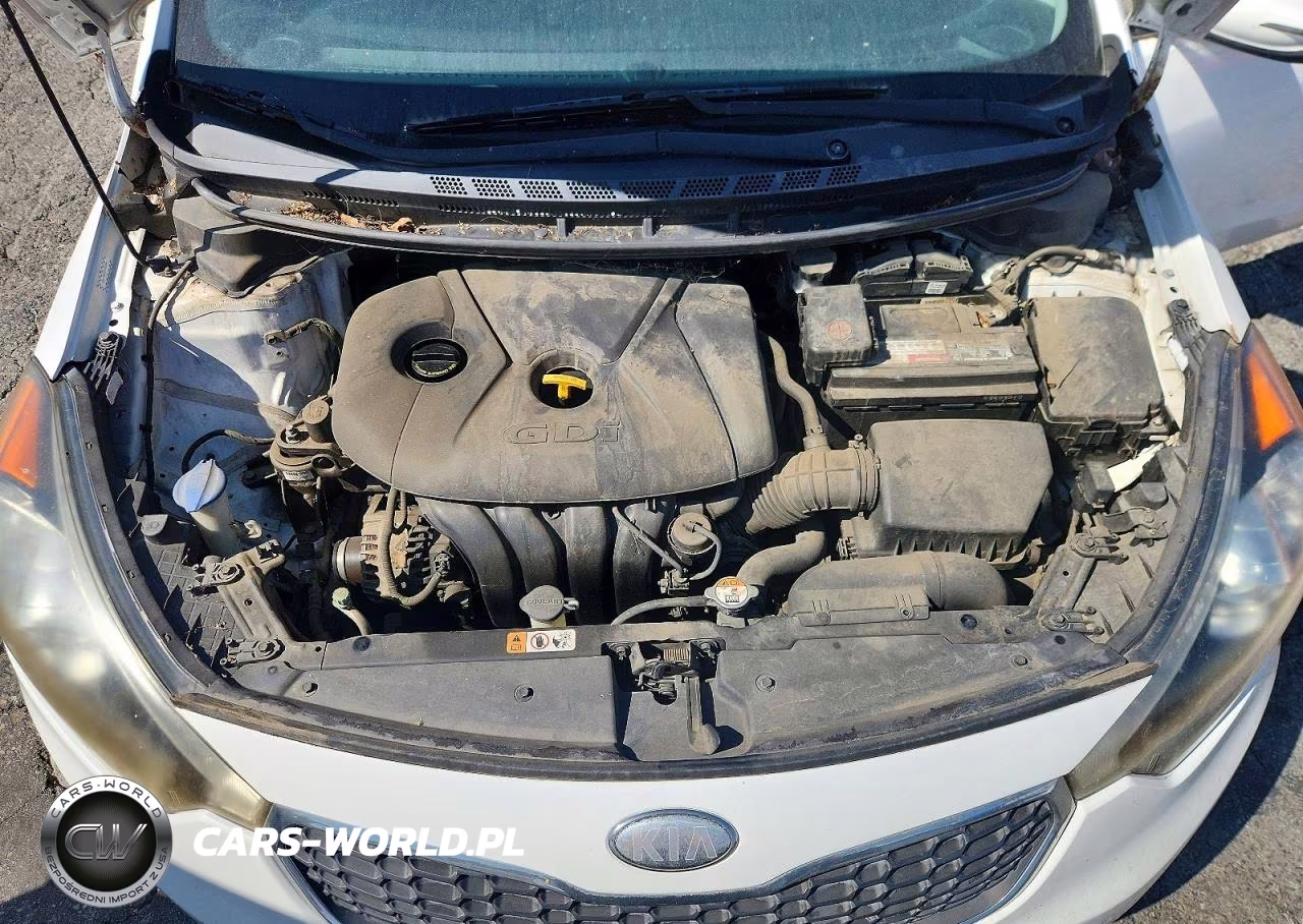 2014 Kia Forte Ex VIN:KNAFX4A87E5053044 - 11