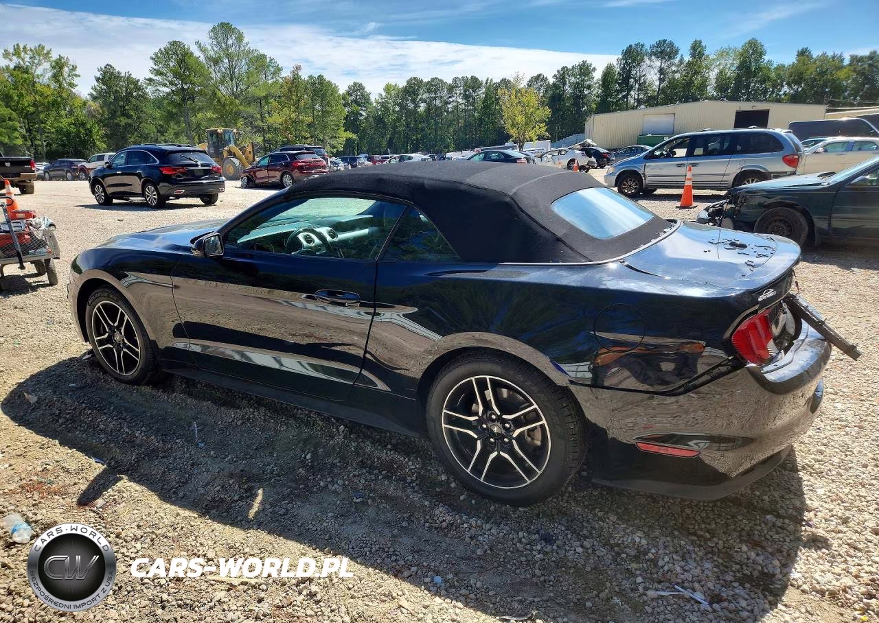 2023 Ford Mustang VIN:1FATP8UH8P5105573 - 2