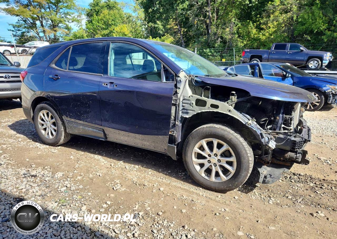 2019 Chevrolet Equinox Ls VIN:3GNAXSEV8KL106046 - 4