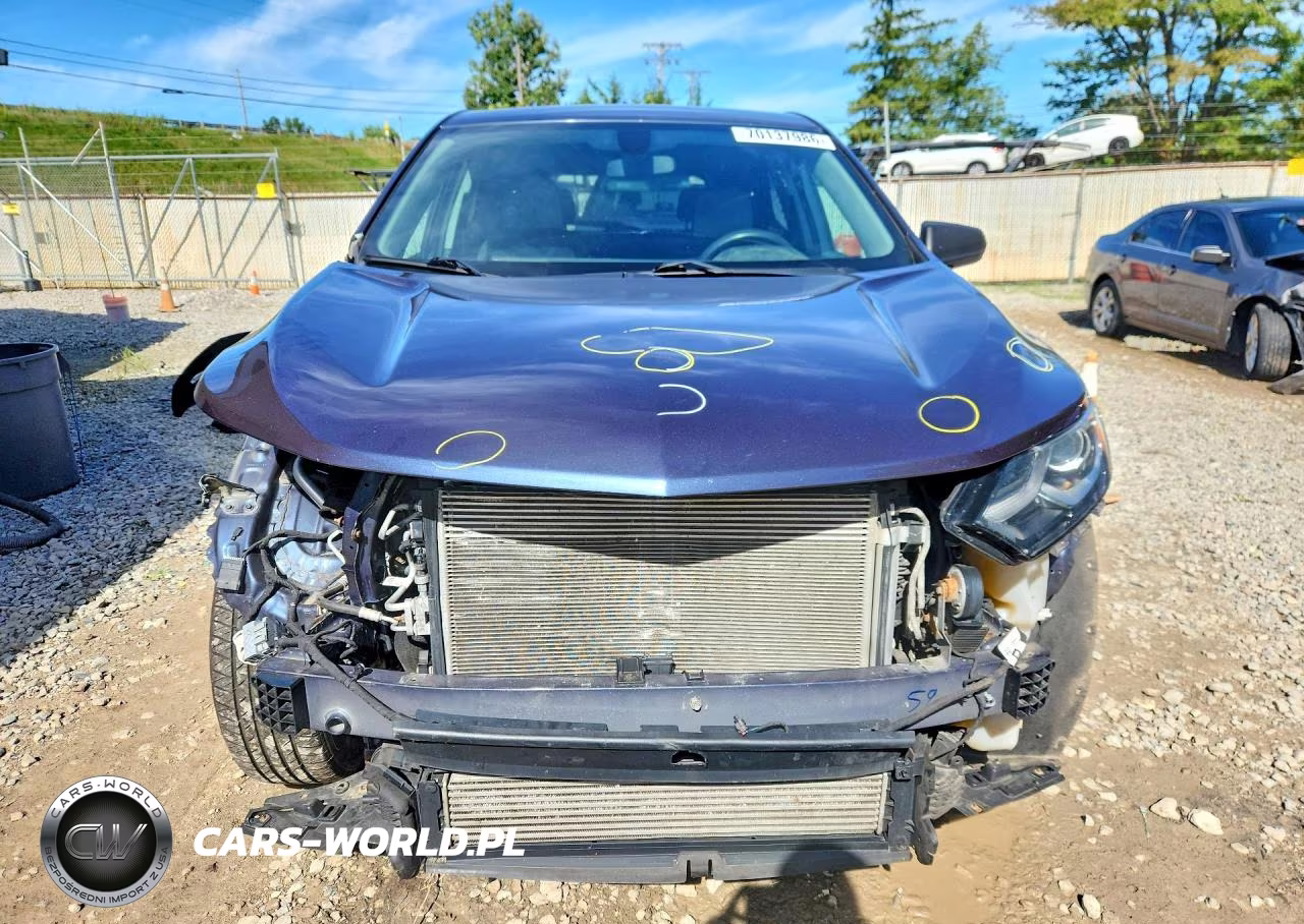 2019 Chevrolet Equinox Ls VIN:3GNAXSEV8KL106046 - 5