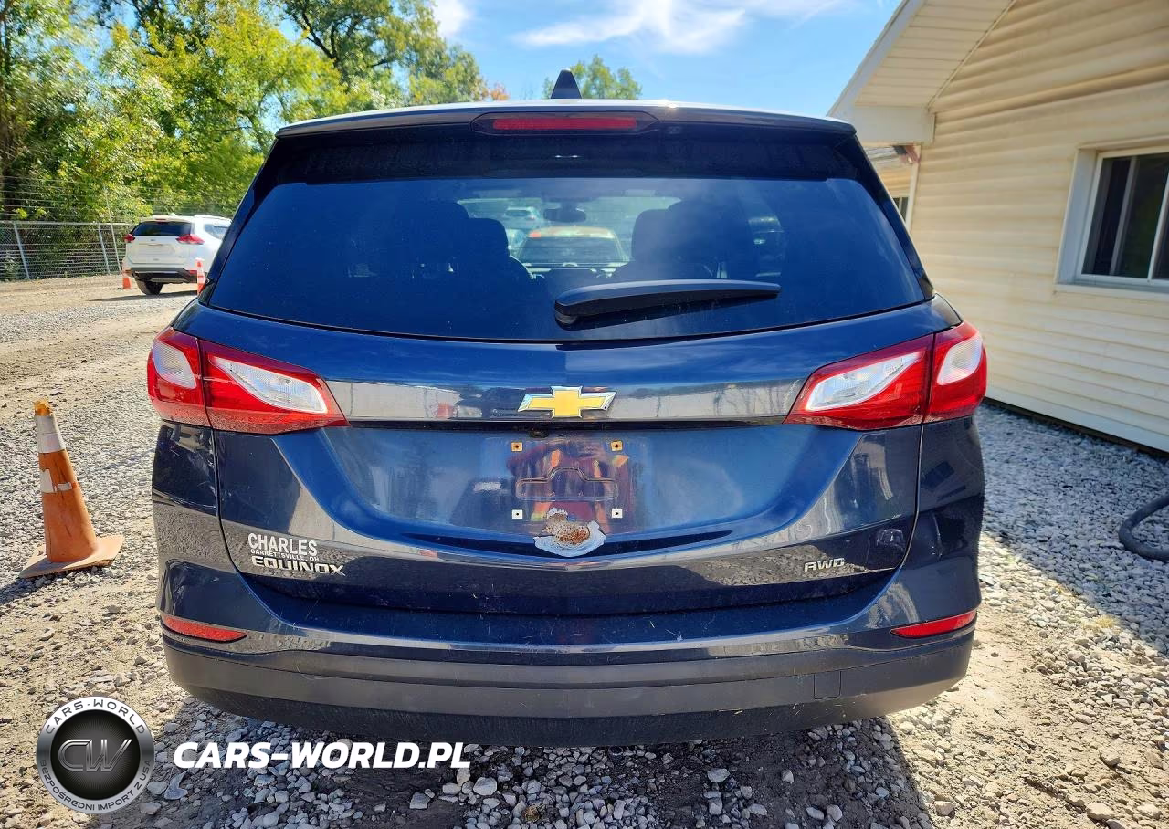 2019 Chevrolet Equinox Ls VIN:3GNAXSEV8KL106046 - 6