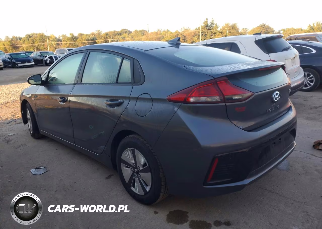 2018 Hyundai Ioniq Blue VIN:KMHC65LC1JU073477 - 2