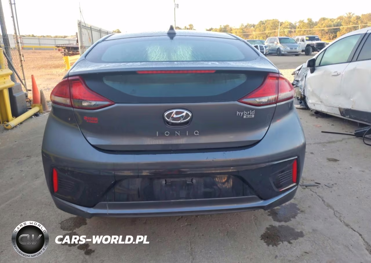 2018 Hyundai Ioniq Blue VIN:KMHC65LC1JU073477 - 6